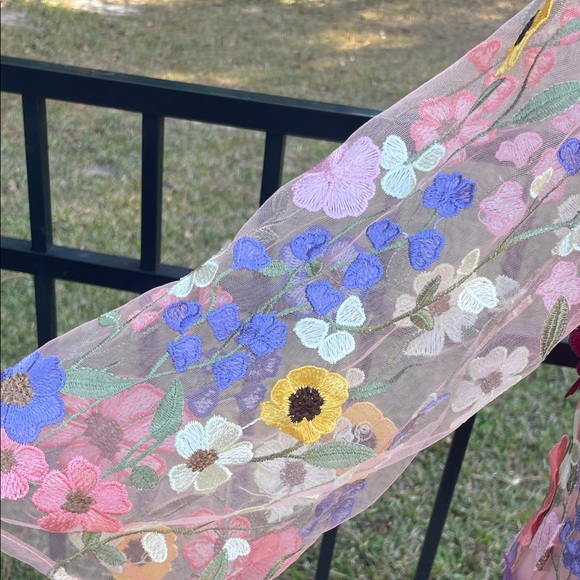 Storia Sheer Dress with Full Length Liner and Floral Embroidery - Picture 6 of 13